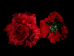 Červená umelá ruža